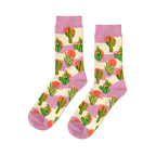 Pair of crew socks with a Southwest cactus pattern. Green cacti, orange suns, and lavender stripes on a cream background.
