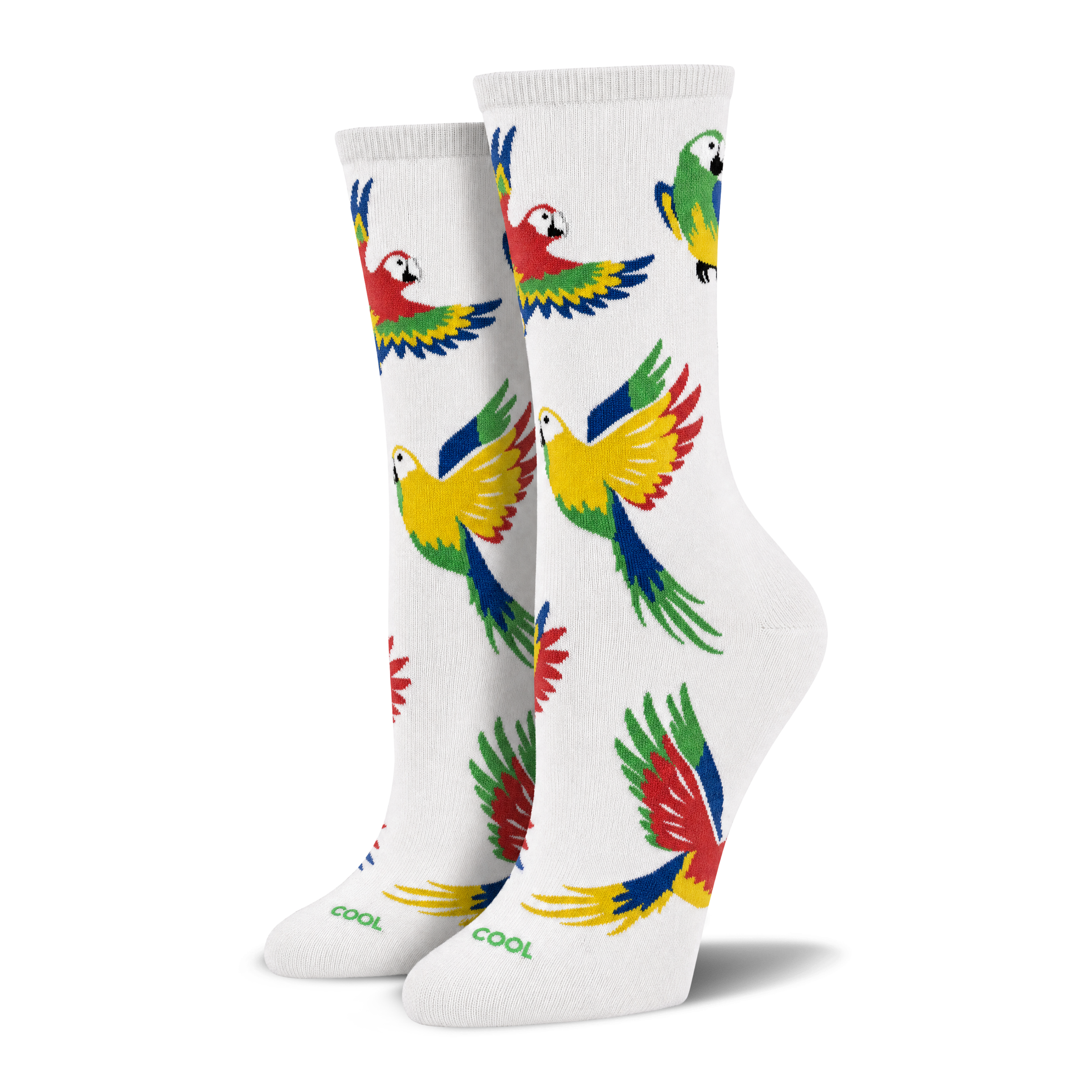 Parrots [mockup]