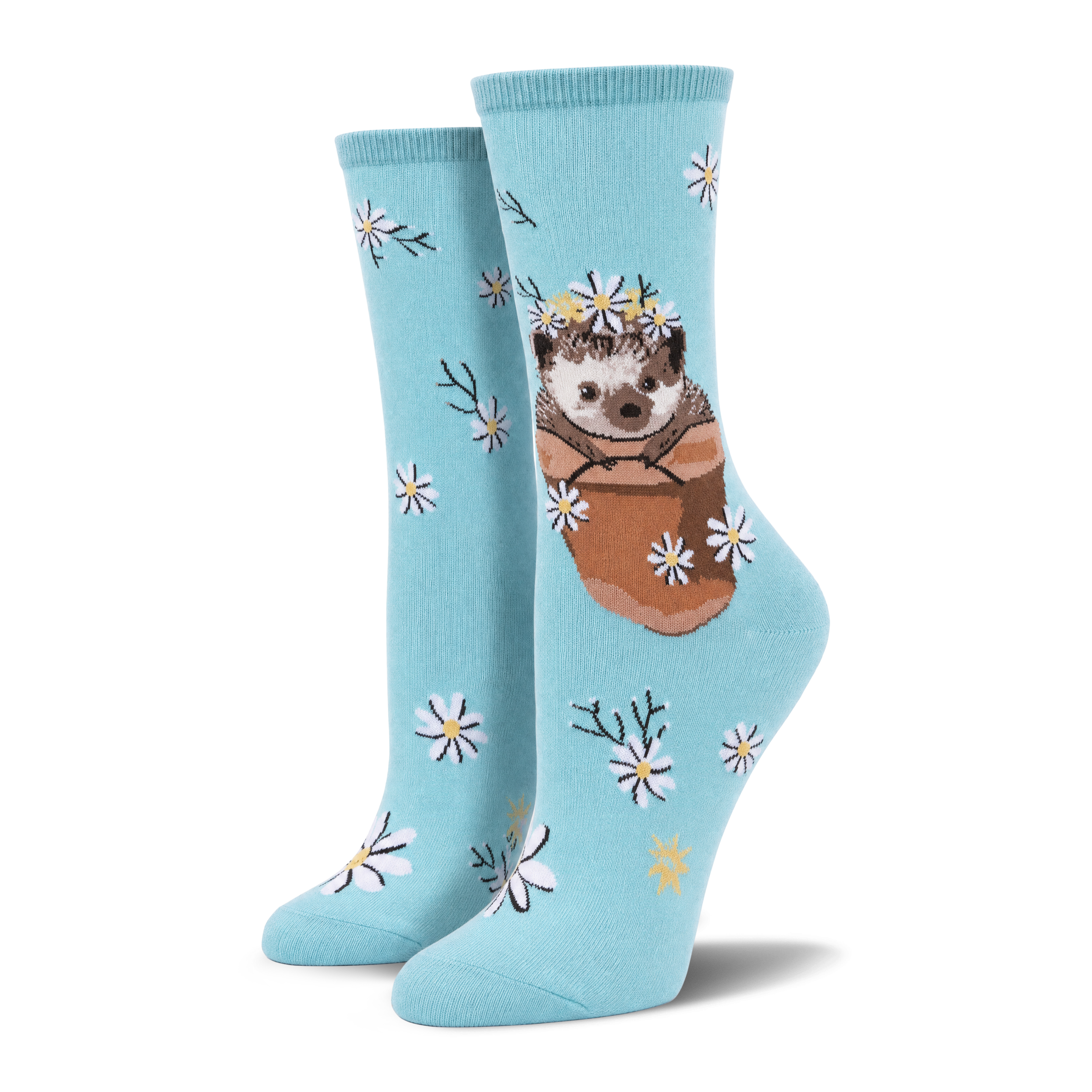 My Dear Hedgehog [mockup]