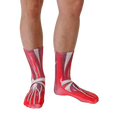 Close-up showcasing the detailed anatomical muscle design on the Muscle Socks. [lf]