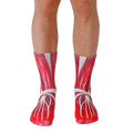Pair of crew socks showcasing a detailed red and white anatomical muscle design. [lf]