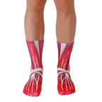 Pair of crew socks showcasing a detailed red and white anatomical muscle design. [lf]