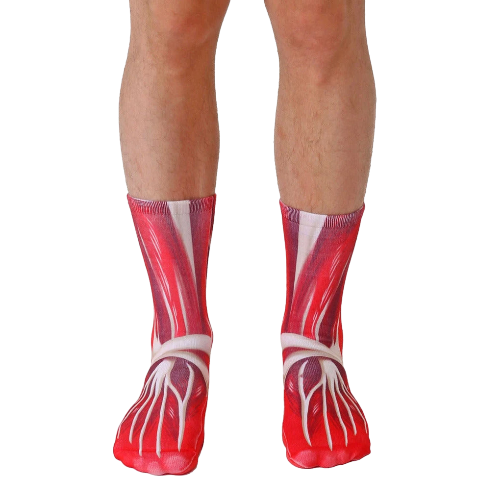 Pair of crew socks showcasing a detailed red and white anatomical muscle design. [lf]