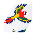 Close-up detail shot of the parrot design on the socks, showcasing the vibrant colors and textured knit.