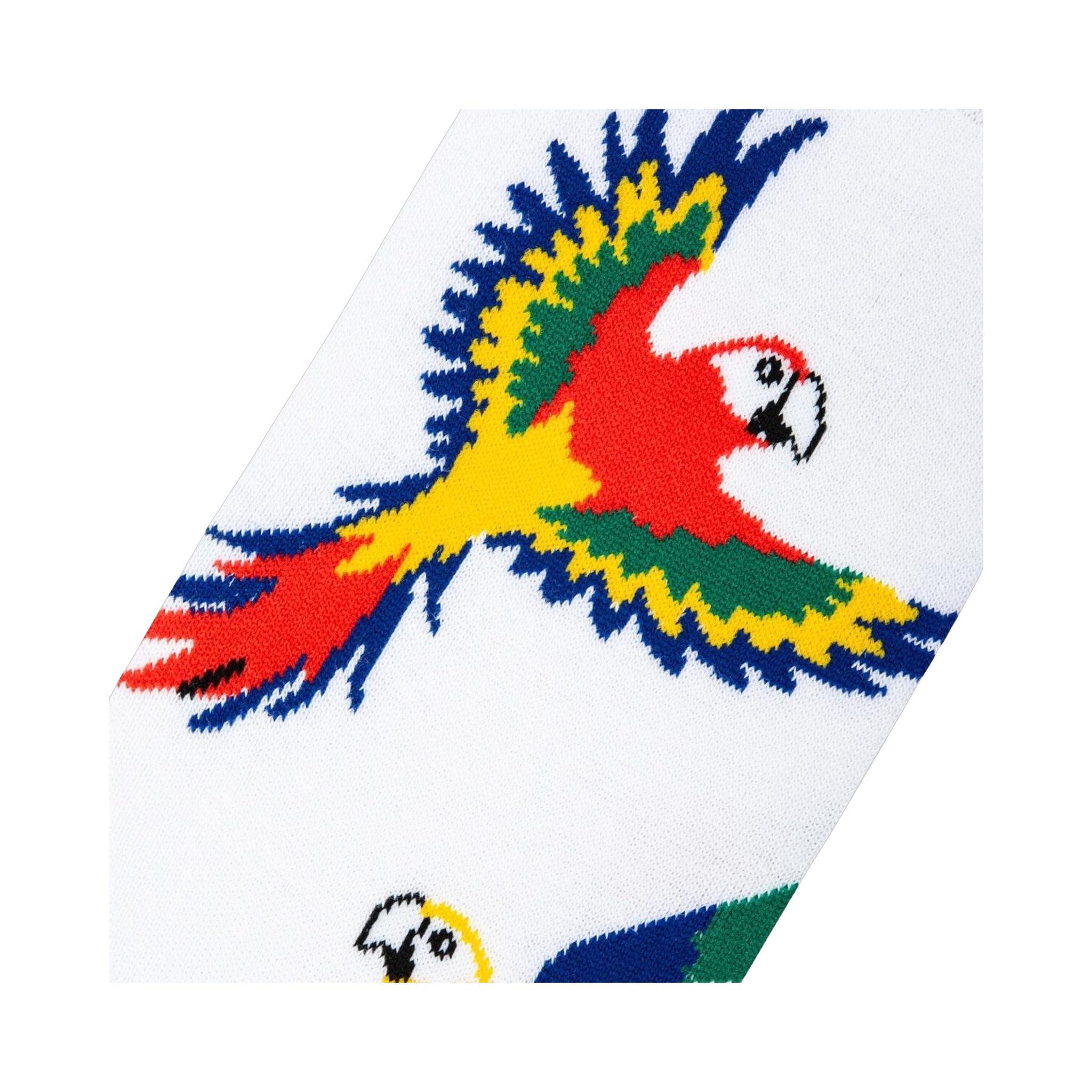 Close-up detail shot of the parrot design on the socks, showcasing the vibrant colors and textured knit.
