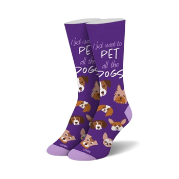 pet all the dogs dog themed womens purple novelty crew 0