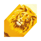 Close-up detail of the lion's face on the Lion Safari socks.