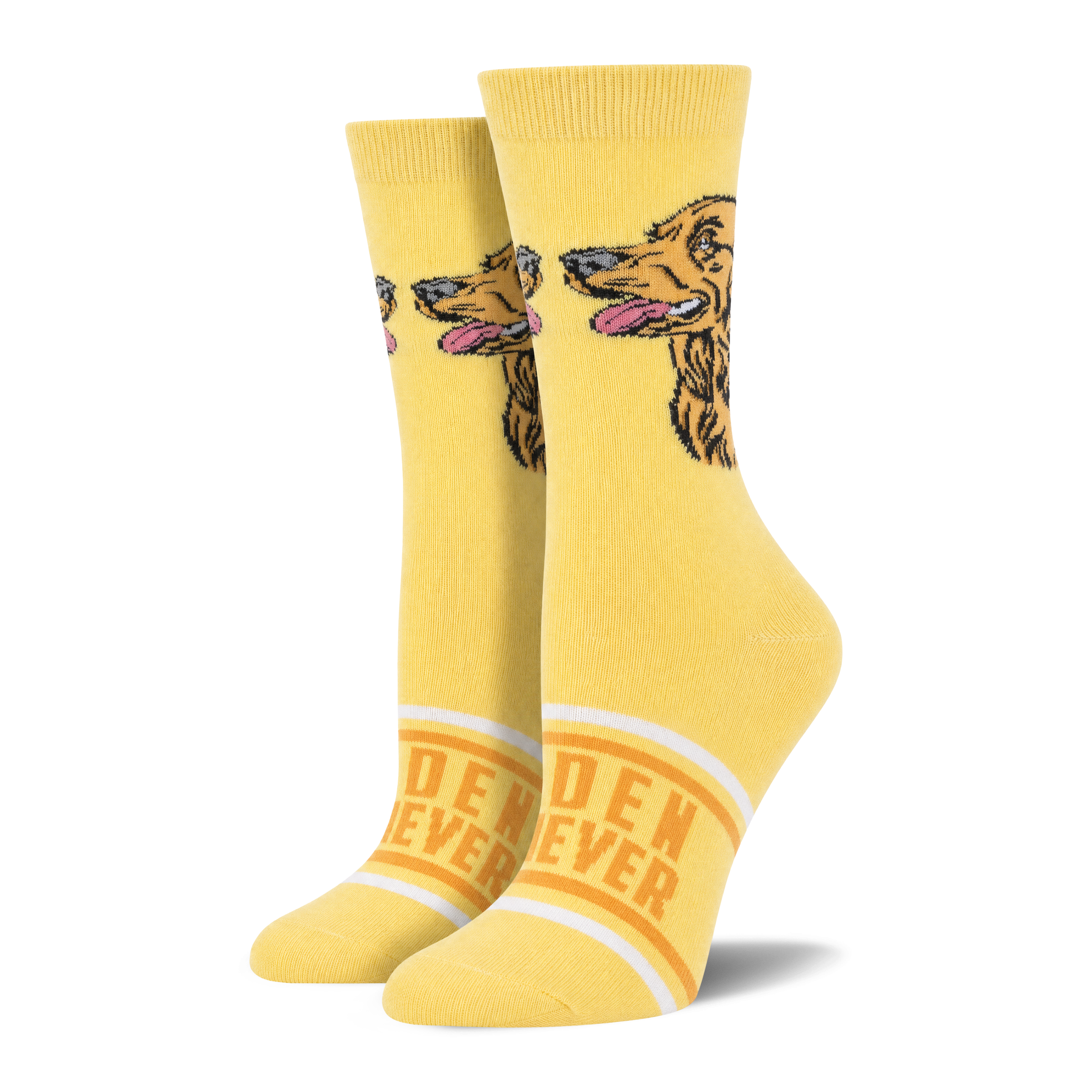 Golden Retriever [mockup]