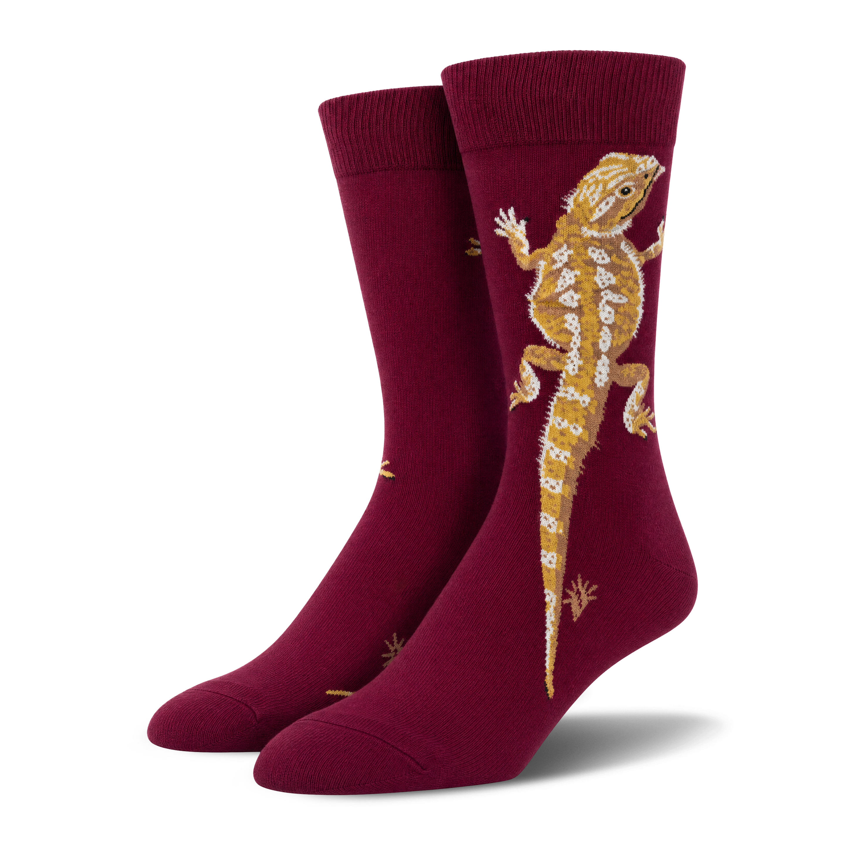 Bearded Dragon [mockup]
