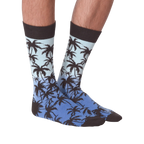 Front view of Palm Socks on a person's legs against a black background.