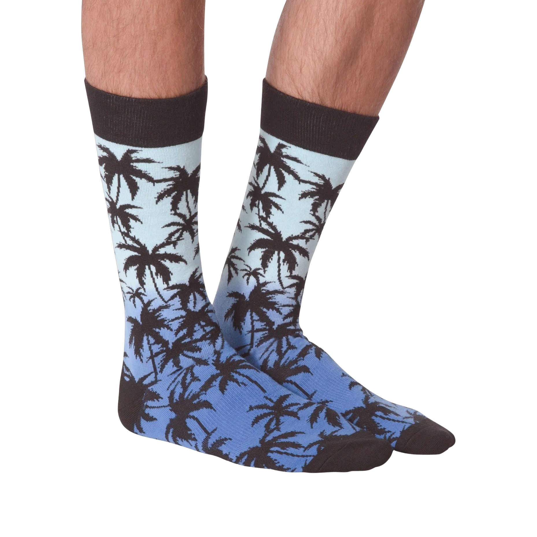 Front view of Palm Socks on a person's legs against a black background.