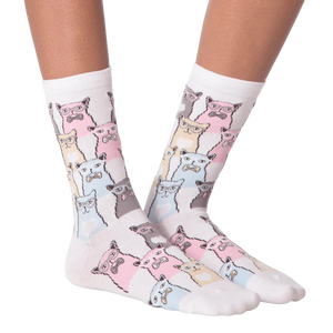 Flatlay showcasing a pair of white Smarty Cats socks.