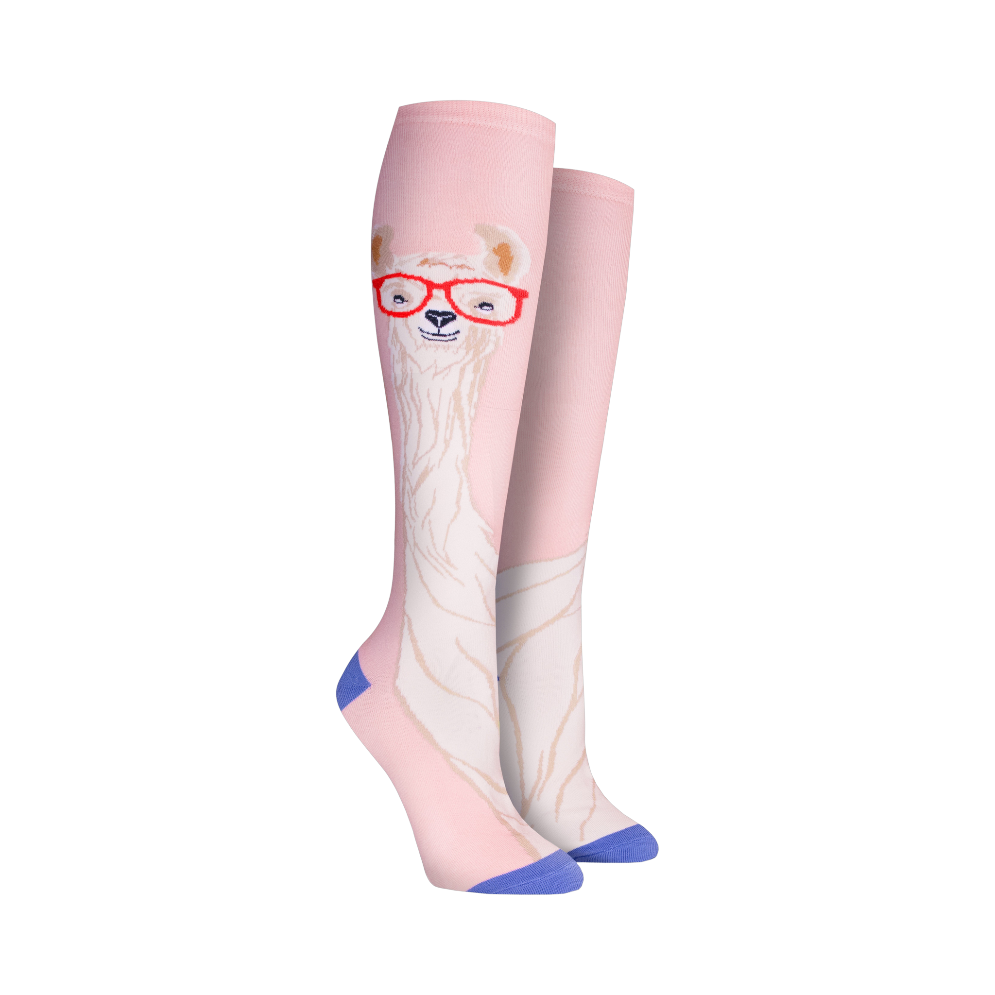Close-up shot of Llama With Glasses knee-high socks against a black background, showcasing the sock's design details and color palette.