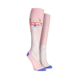 Close-up shot of Llama With Glasses knee-high socks against a black background, showcasing the sock's design details and color palette.