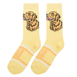 Flatlay showcasing a pair of yellow Golden Retriever socks. The socks feature an illustration of a Golden Retriever's head and the words 'Golden Retriever' on the lower part.
