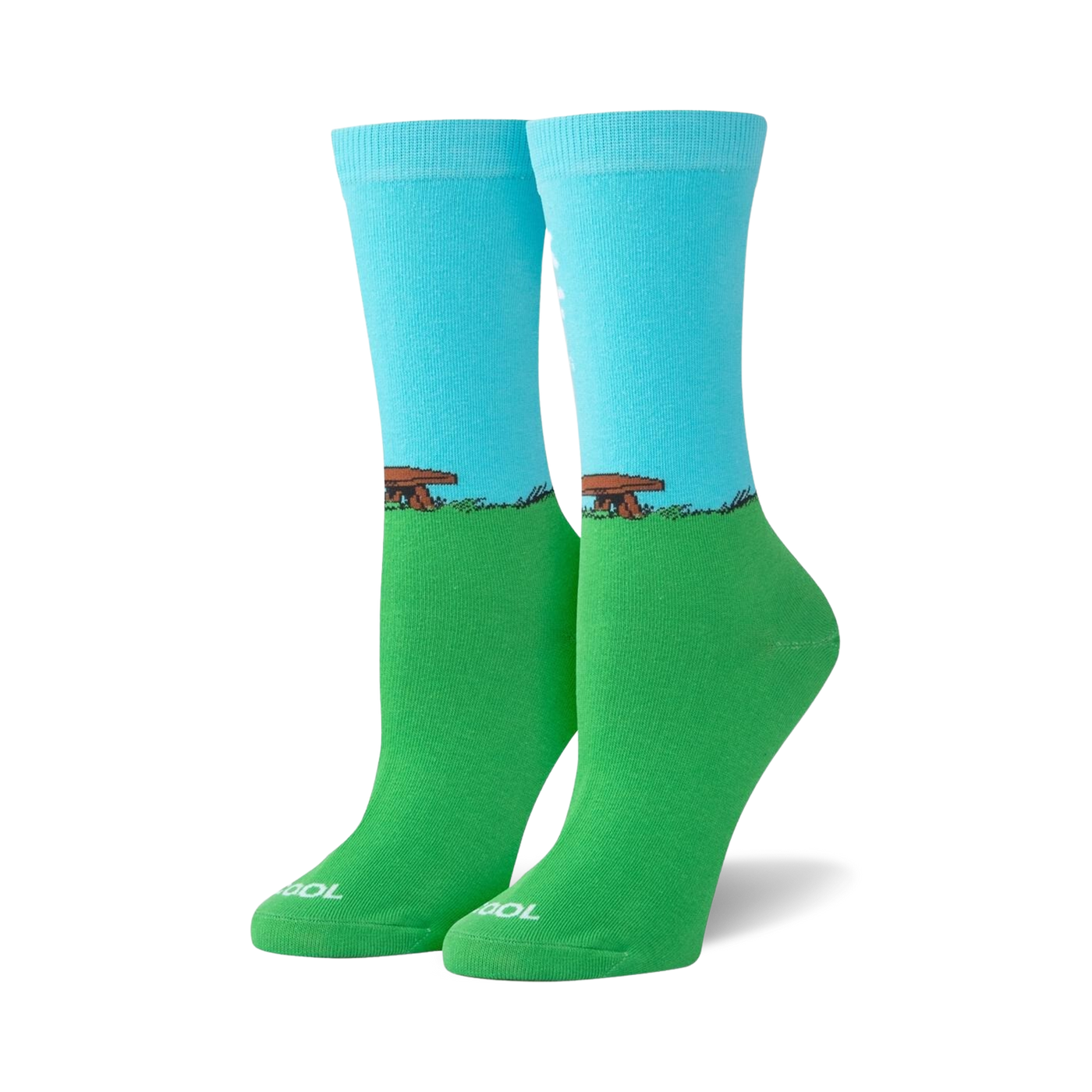 Flat lay product shot of the 'I'm Reading' socks.