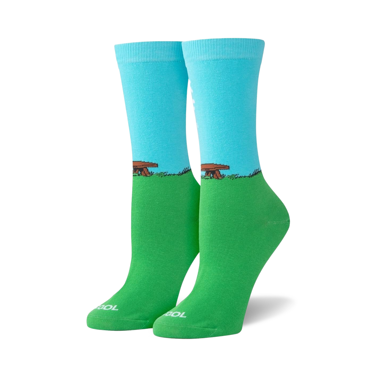 Flat lay product shot of the 'I'm Reading' socks.