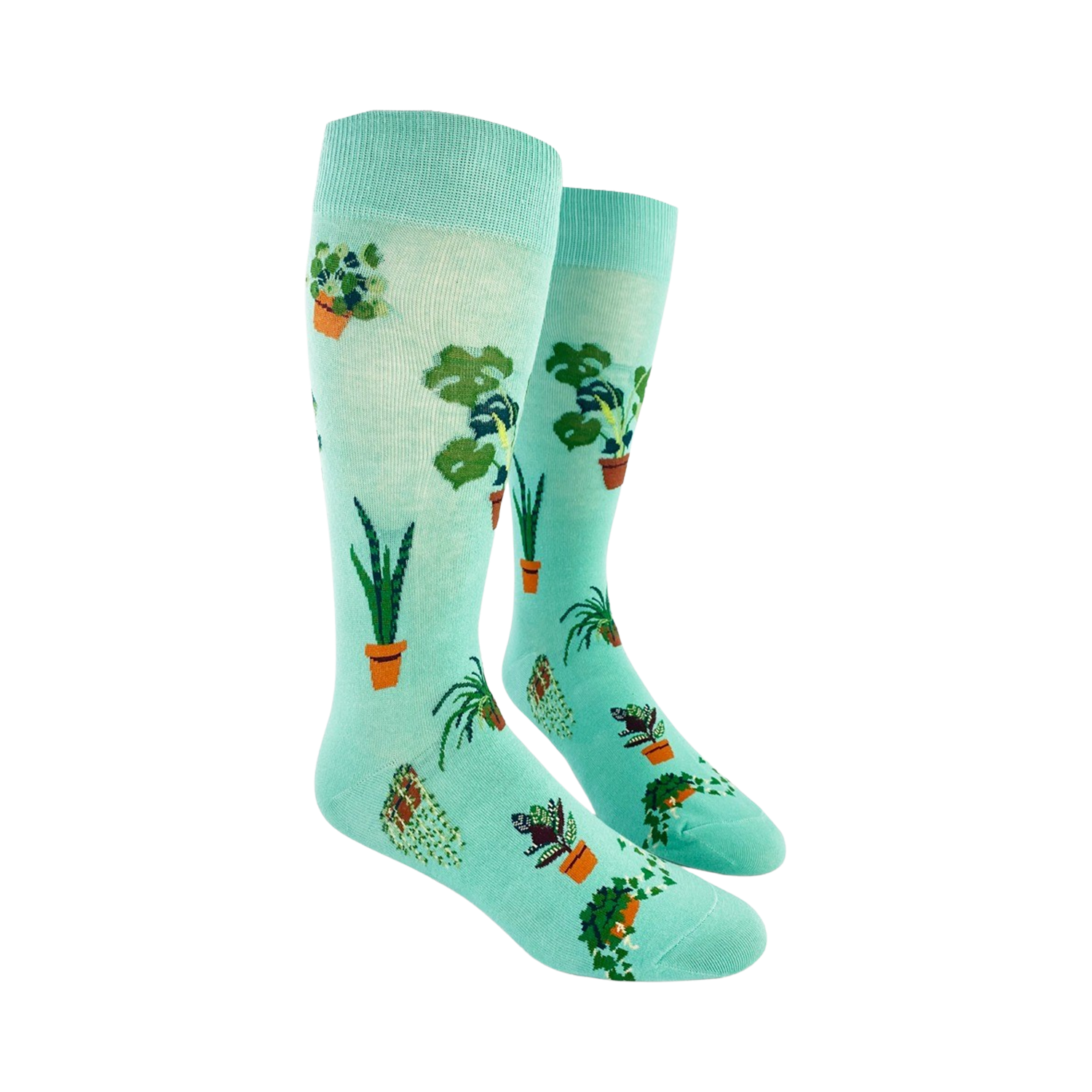 Lifestyle shot of Plant Dude socks on a person's feet.