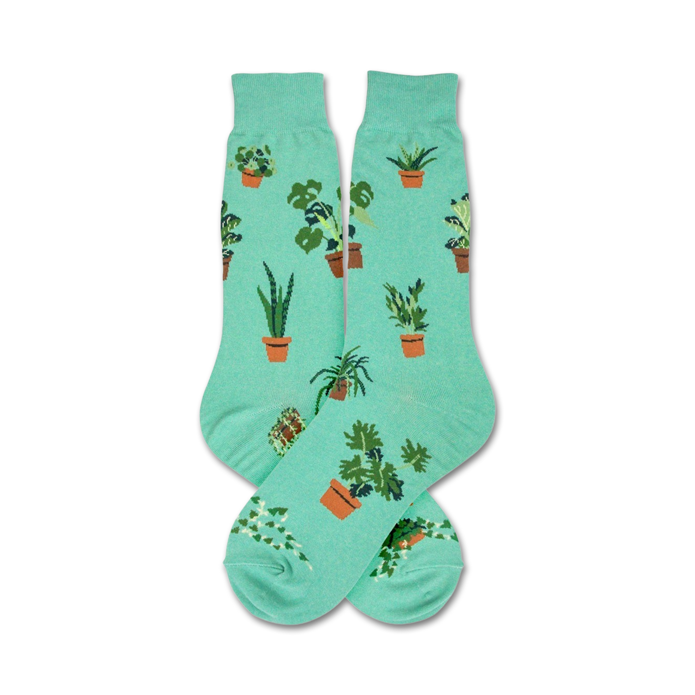 Pair of teal crew socks with illustrated potted plants. Fun, quirky design for plant lovers.