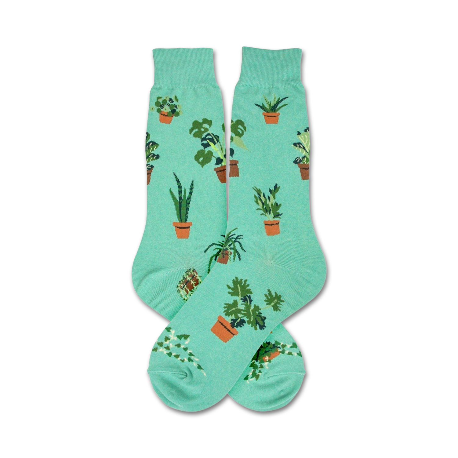 Pair of teal crew socks with illustrated potted plants. Fun, quirky design for plant lovers.