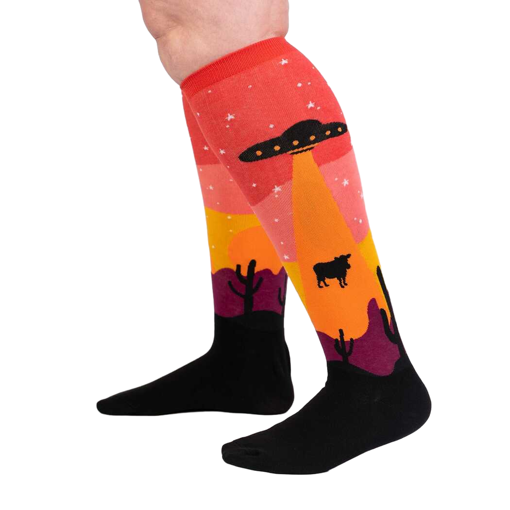 Close-up of Area 51 socks on a person's legs, showing the sock's fit and colors.