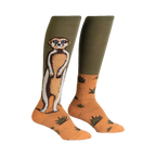 Pair of knee-high socks; olive green and orange; meerkat illustration; sandy background with small green plants.