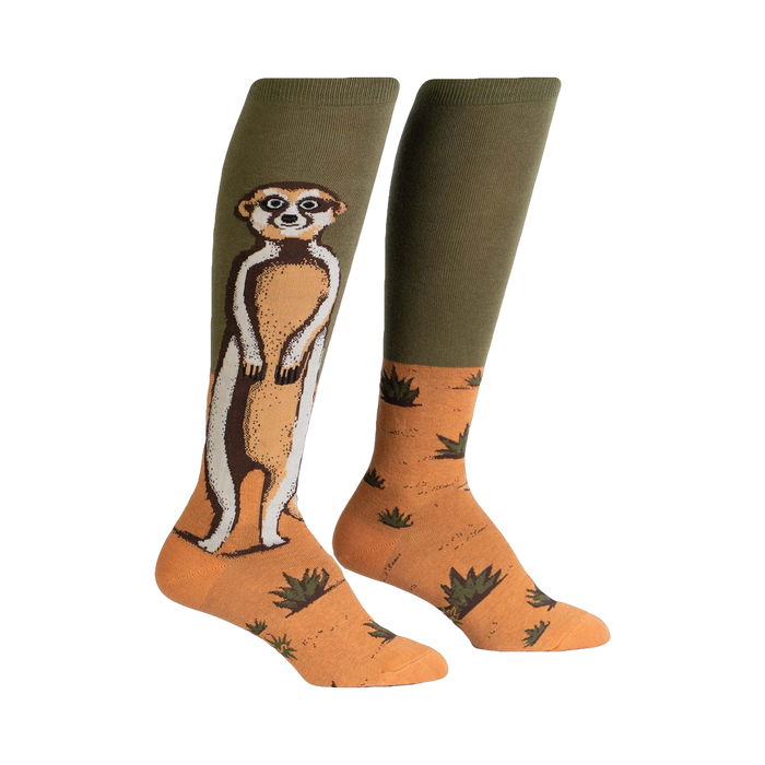 Pair of knee-high socks; olive green and orange; meerkat illustration; sandy background with small green plants.