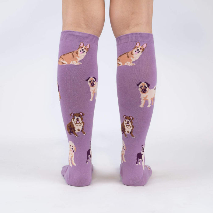 A pair of purple knee-high socks with a pattern of cartoon dogs on them. The dogs are of various breeds, including corgis, pugs, bulldogs, and beagles.