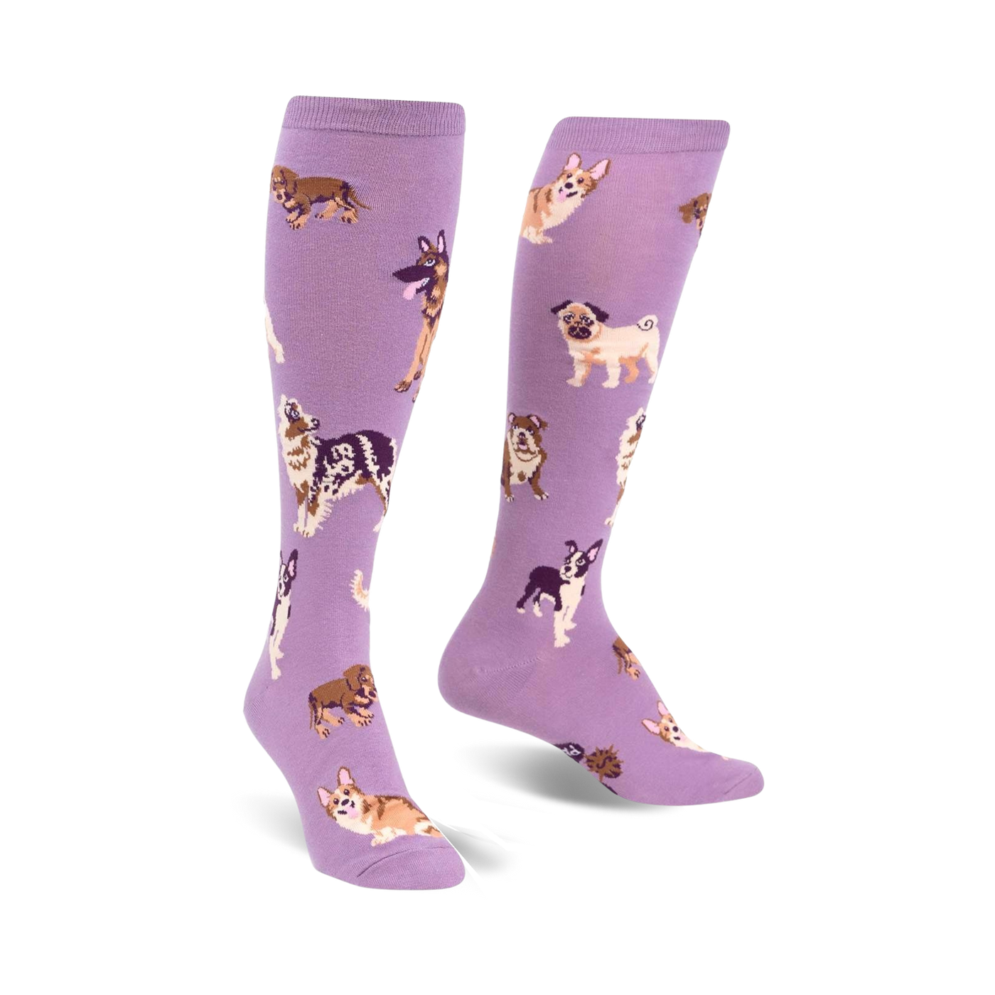 Pair of lavender purple knee-high socks featuring a pattern of various dog breeds in illustrated style.