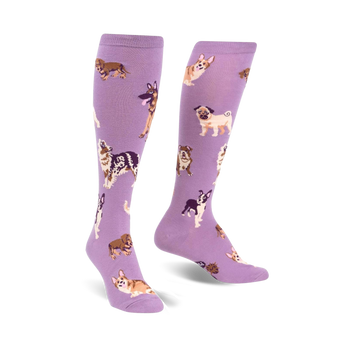 Pair of lavender purple knee-high socks featuring a pattern of various dog breeds in illustrated style.