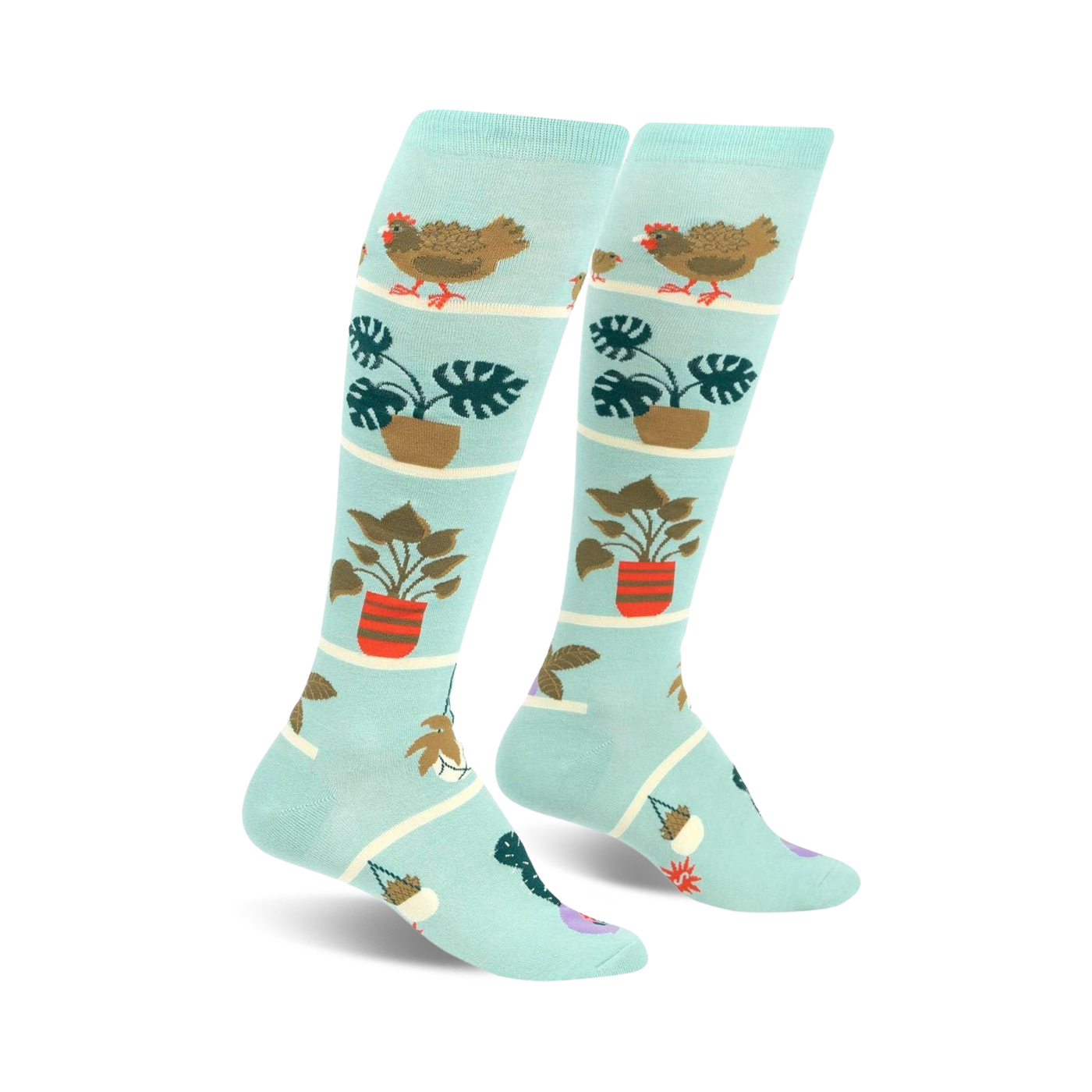 Pair of light teal knee-high socks featuring hens, chicks, and potted plants in a whimsical design.