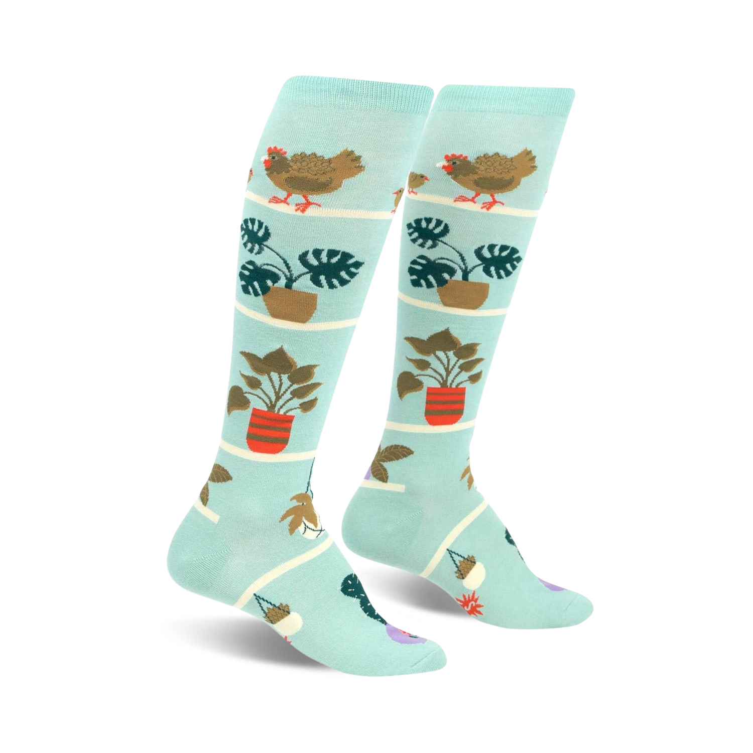 Pair of light teal knee-high socks featuring hens, chicks, and potted plants in a whimsical design.
