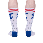 Back view of the American Pi socks, showcasing the complete design on the heel and back of the sock.