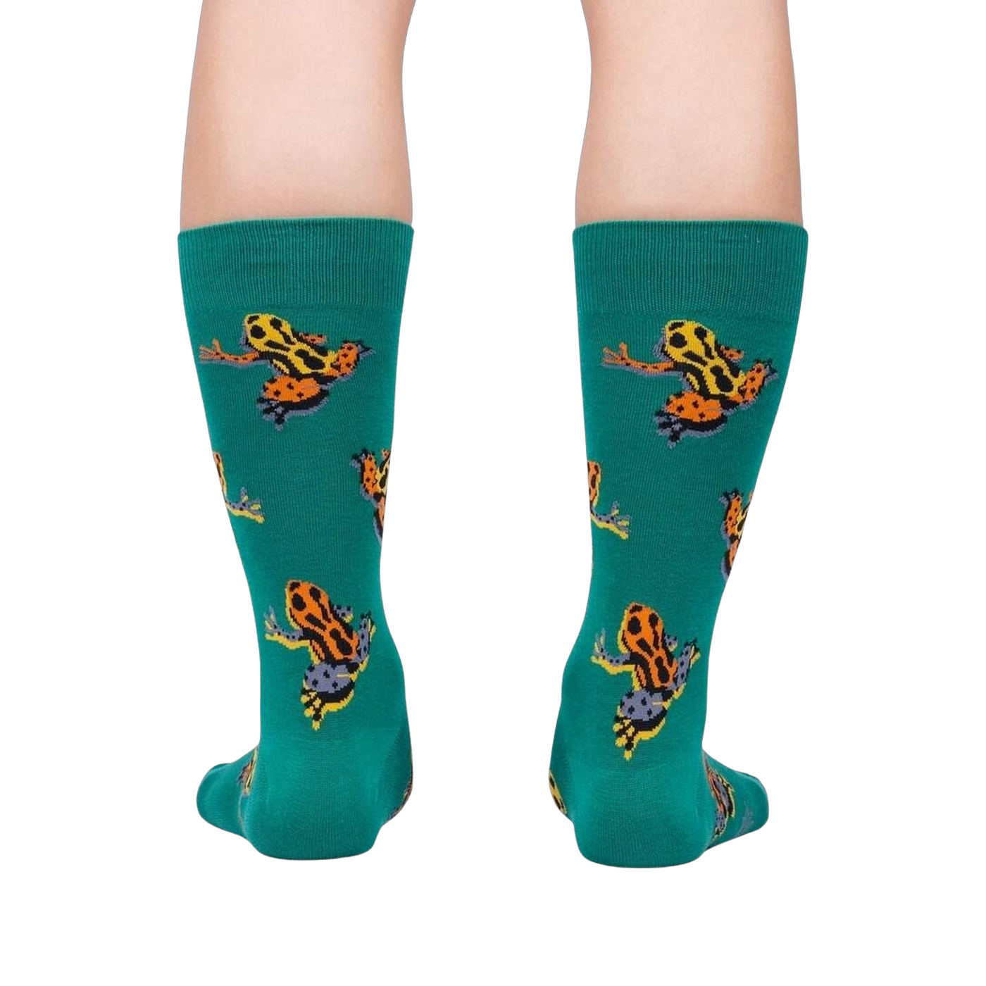 Back view of the Poison Dart Frog socks, highlighting the full frog print on teal fabric.