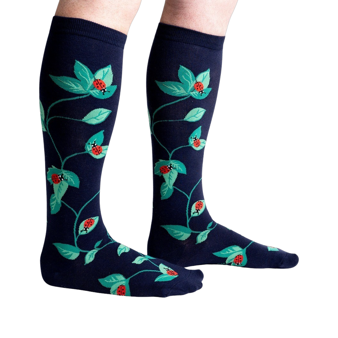 Lifestyle shot showing the socks on a person's legs, showcasing fit and style.