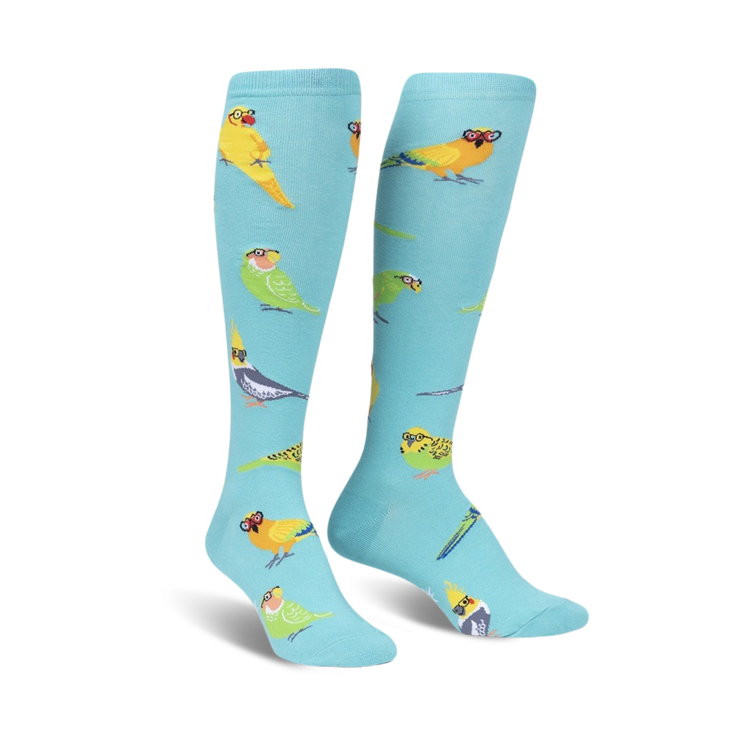Pair of teal knee-high socks with colorful birds wearing glasses.  Fun, quirky design.