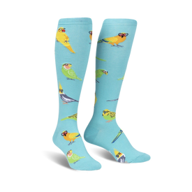blue knee-high women's socks with green, yellow, and orange cartoon birds wearing glasses.  