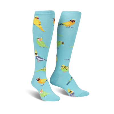 blue knee-high women's socks with green, yellow, and orange cartoon birds wearing glasses.  