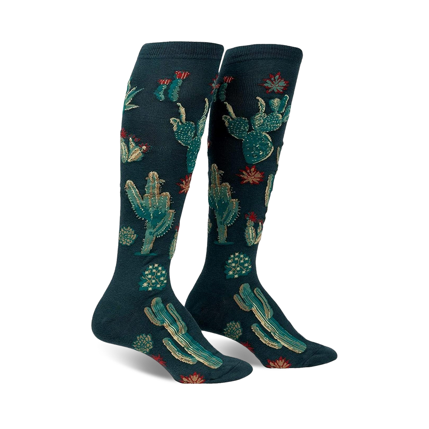 Pair of women's knee-high socks. Deep teal background with embroidered gold and red cacti and succulents.