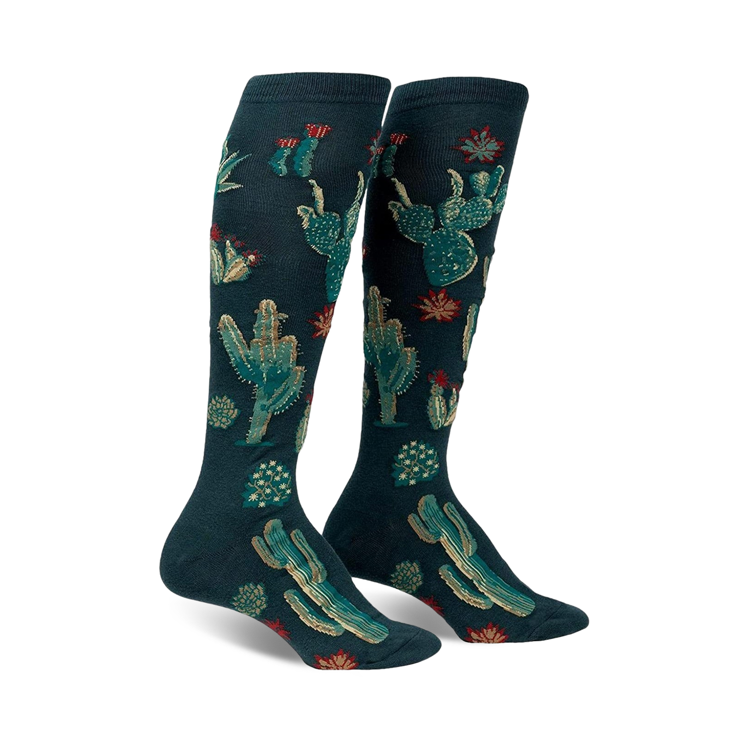Pair of women's knee-high socks. Deep teal background with embroidered gold and red cacti and succulents.