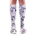 Knee-high socks with an all-over print of various kittens in shades of brown, black, white, and orange on a light blue background. [lf]