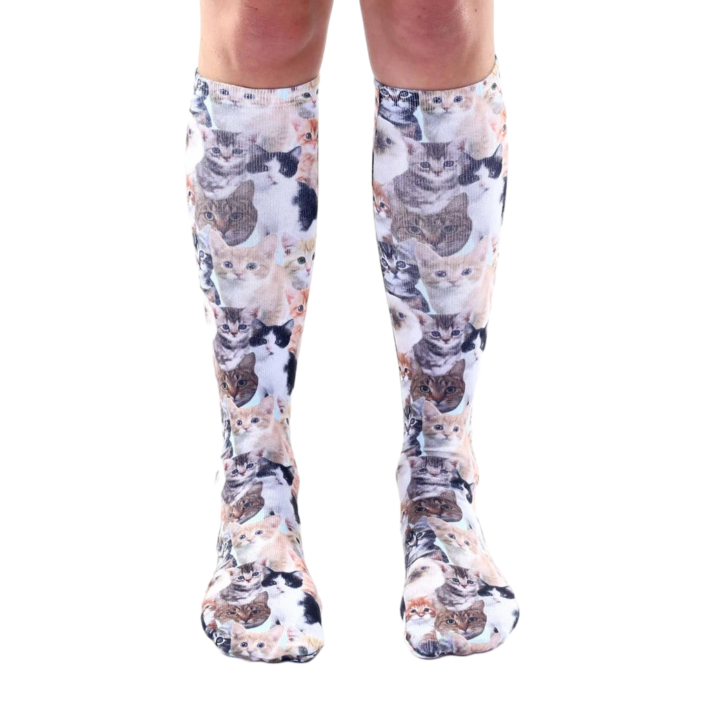 Knee-high socks with an all-over print of various kittens in shades of brown, black, white, and orange on a light blue background. [lf]