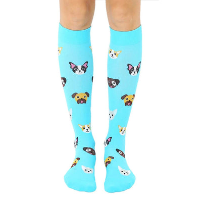 paw-somely patterned light blue knee-high socks for women featuring various breeds of cartoon dogs.   