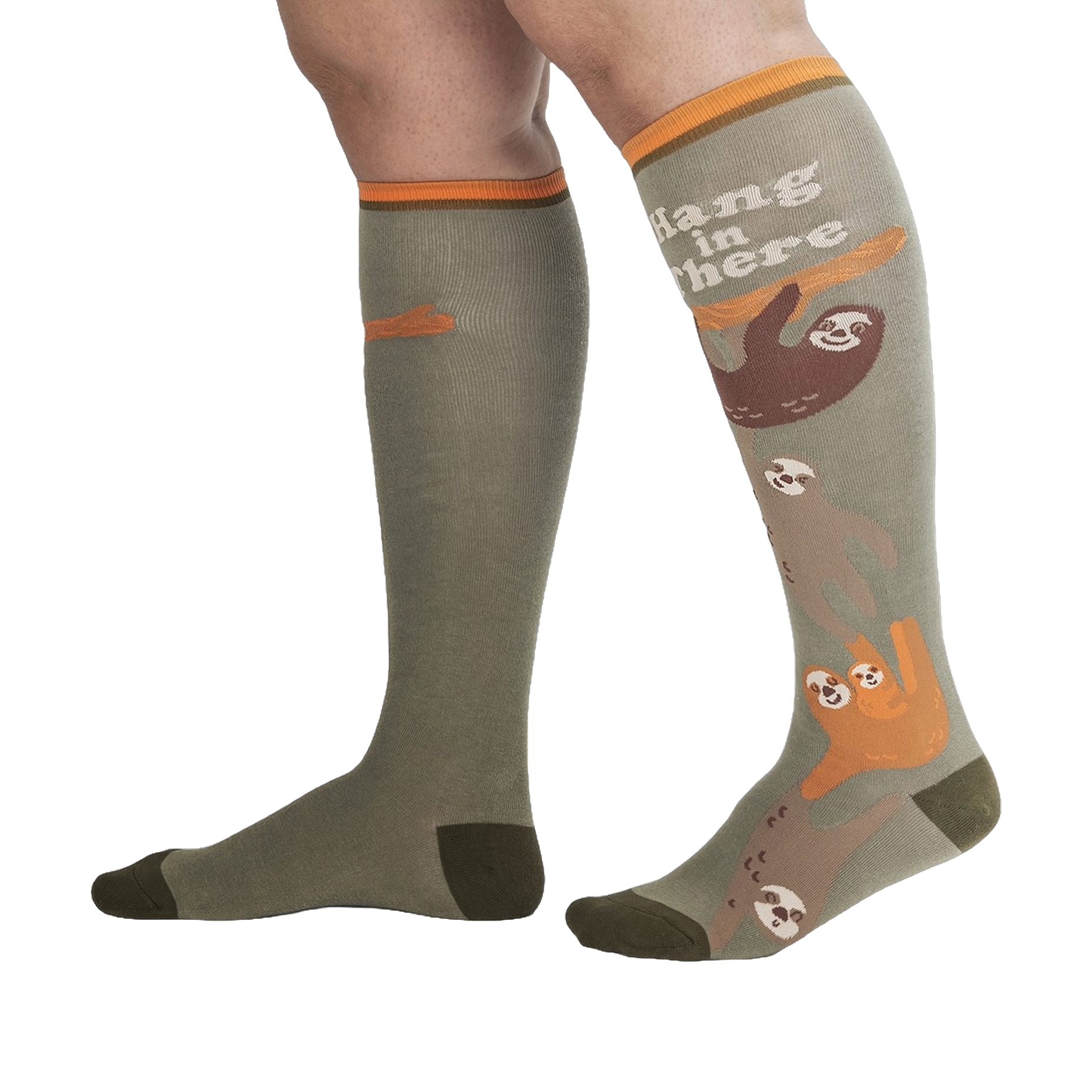 Lifestyle shot of a person wearing the 'Hang in There' sloth socks.