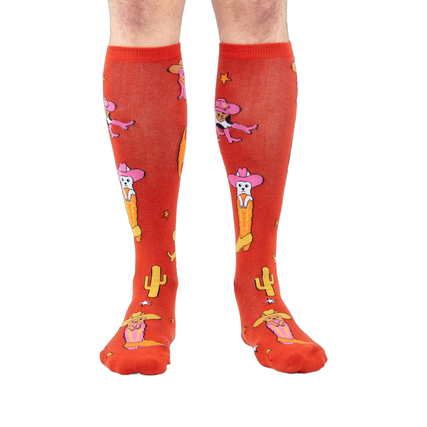 Front view of the 'Herding Cats' socks on a person's legs.