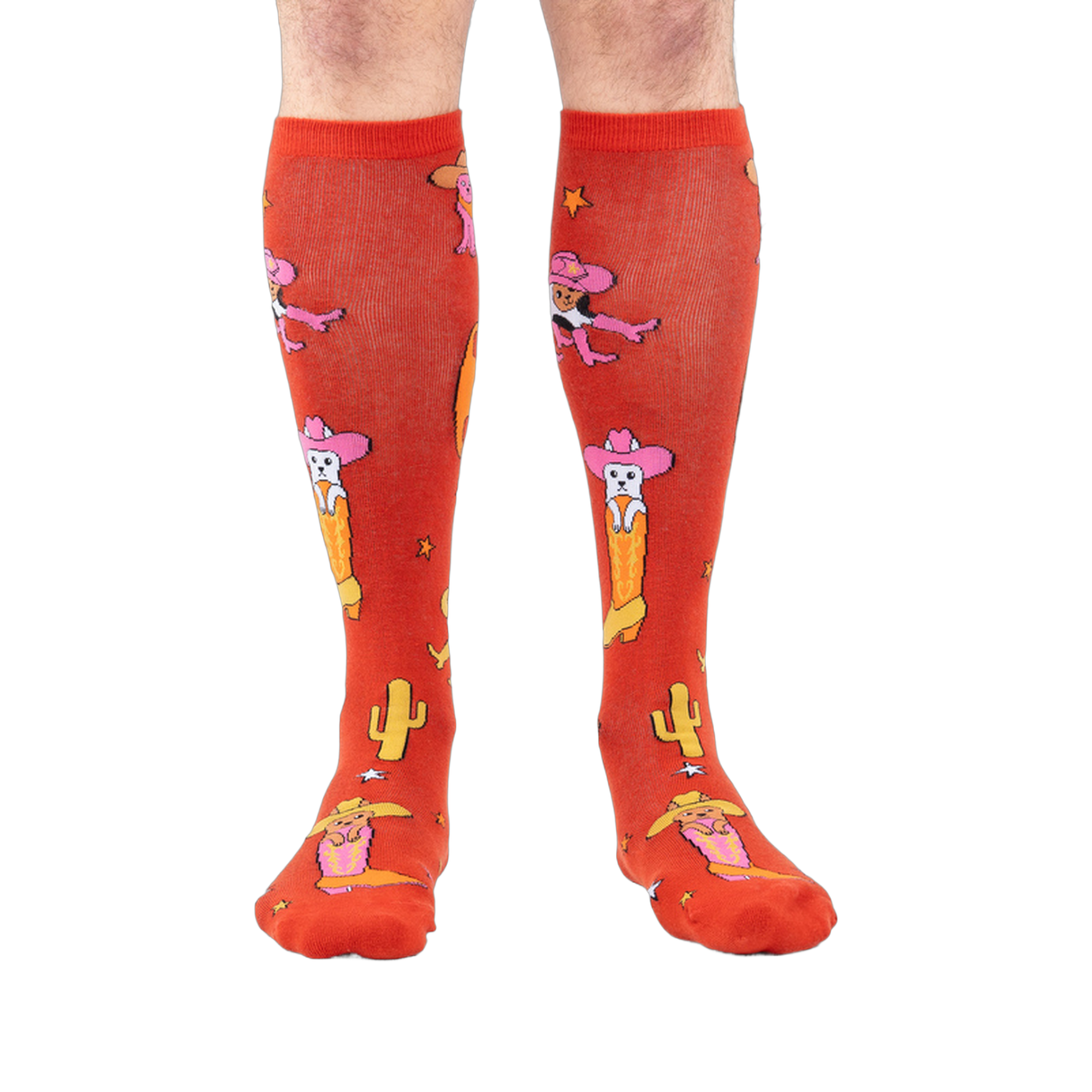 Front view of the 'Herding Cats' socks on a person's legs.