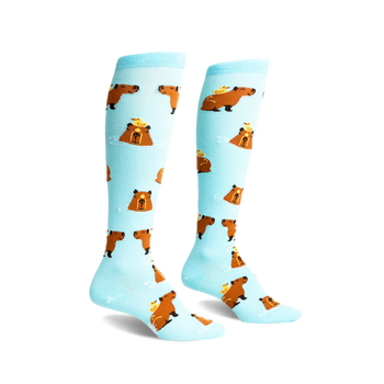 Pair of light blue knee-high socks with repeating pattern of brown capybaras and yellow ducklings.