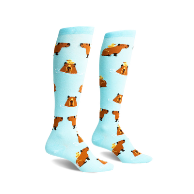 Pair of light blue knee-high socks with repeating pattern of brown capybaras and yellow ducklings.
