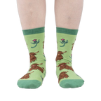 Front view of the socks on a person's feet, showcasing the overall design and color combination.