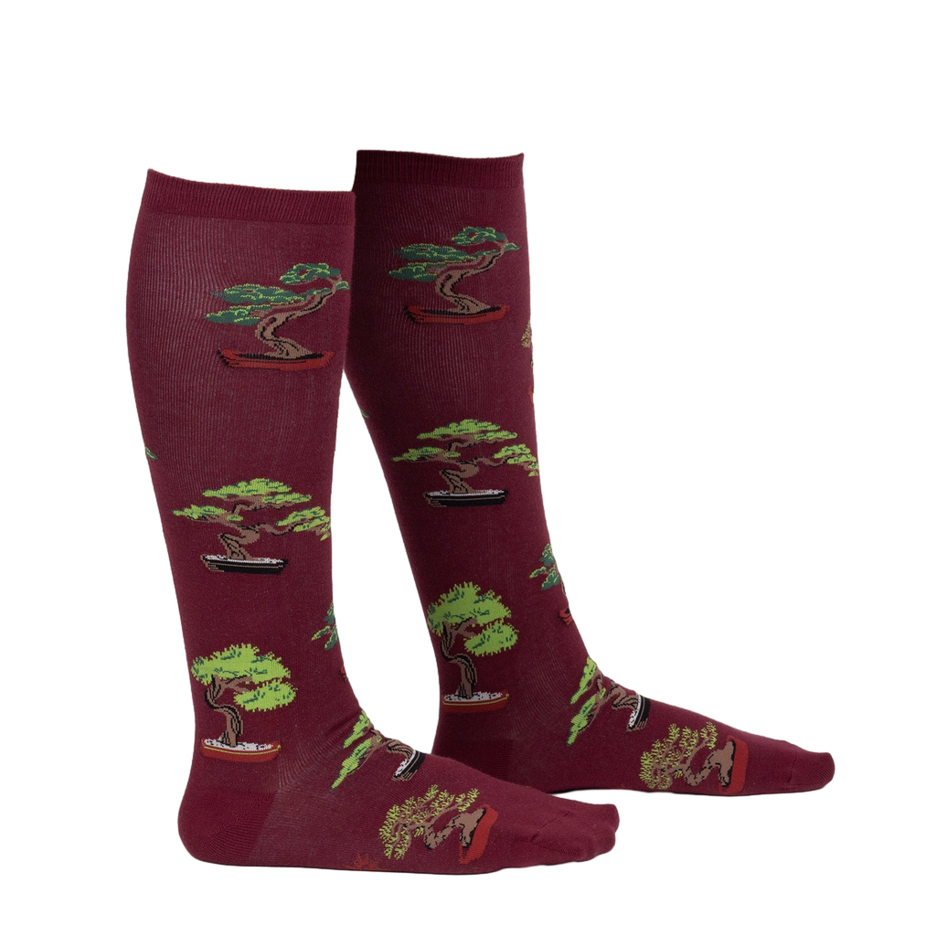 Lifestyle shot showing the socks on a person's legs, showcasing fit and style.